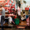 Trieste Photo Days: Chromantic - Image 4