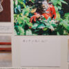 No Heritage Found on Map: The Vanishing Villages of Hong Kong - Image 17